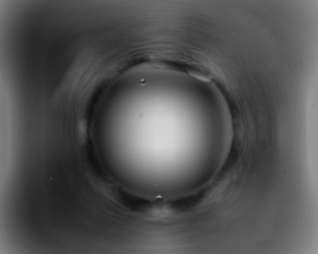 X0000092260262200709211124