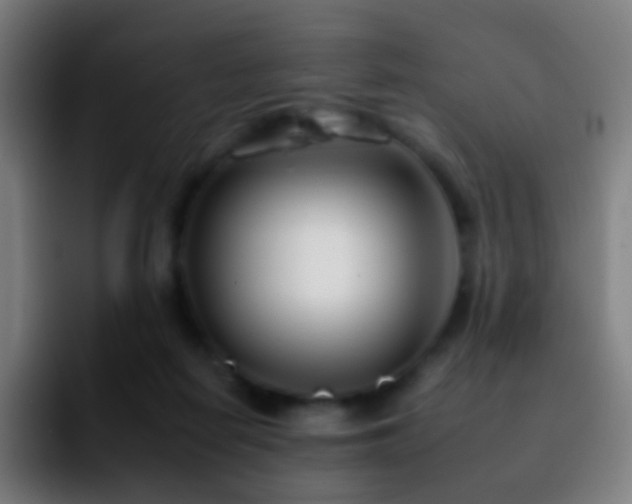 X0000092260266200709211124