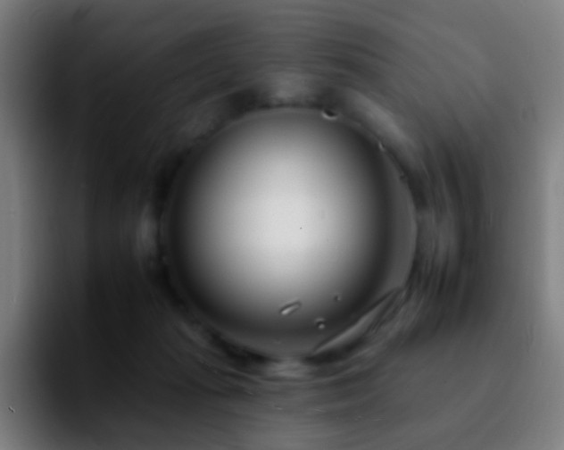 X0000092260269200709211124