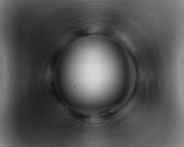 X0000092260273200709211124