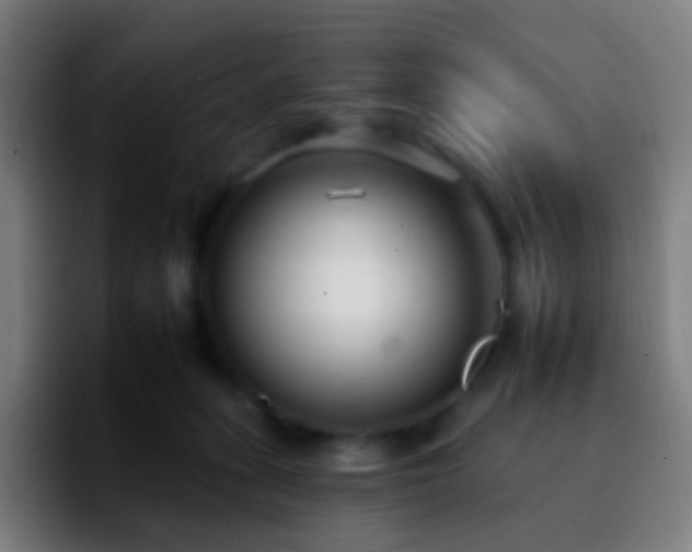 X0000092260275200709211124