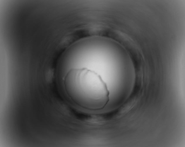 X0000092260278200709211124