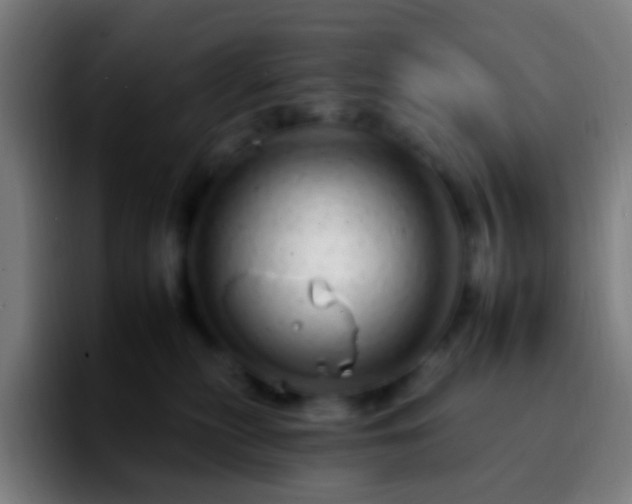 X0000092260279200709211124