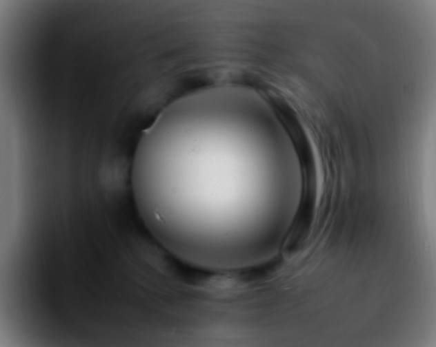 X0000092260280200709211124