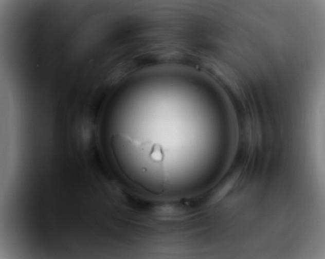 X0000092260281200709211124