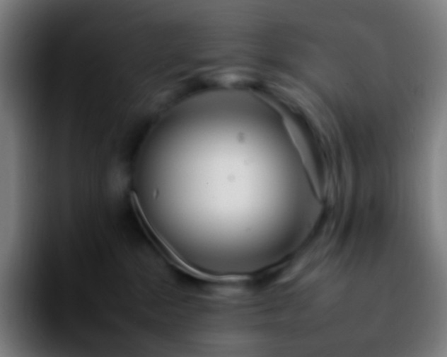 X0000092260284200709211125