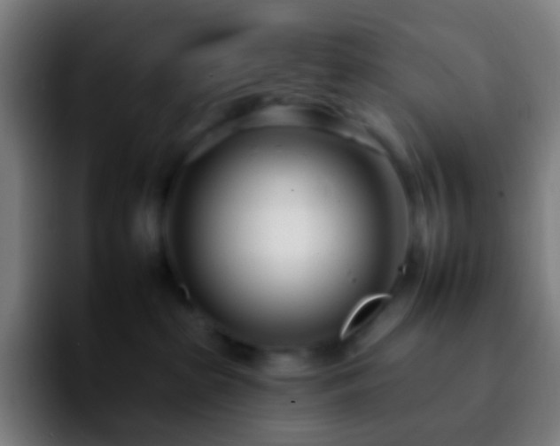 X0000092260285200709211125