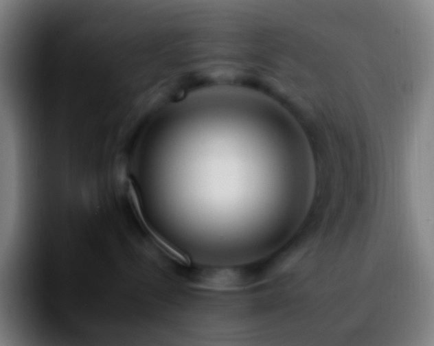 X0000092260288200709211125