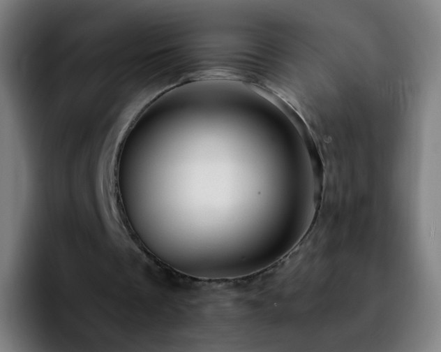 X0000092260289200709211124