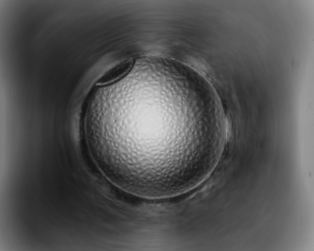 X0000092260291200709211124