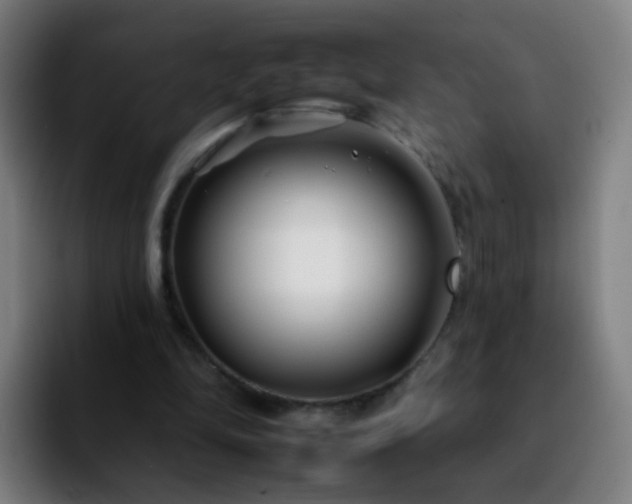 X0000092260294200709211124