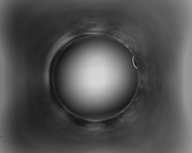 X0000092260296200709211124