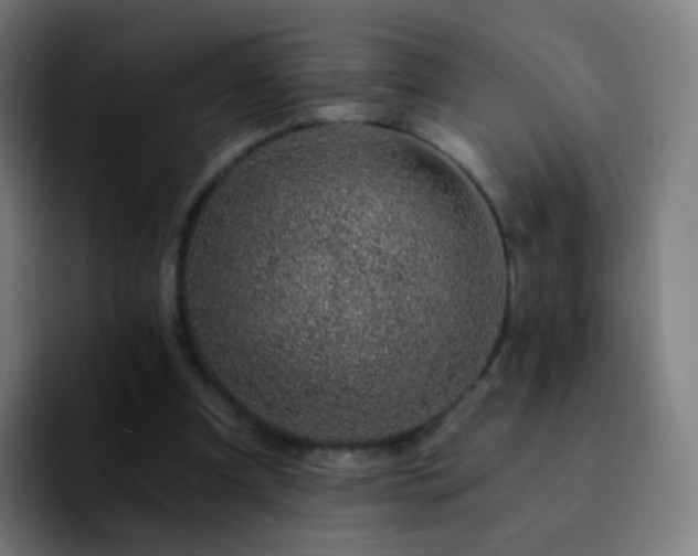 X0000092260297200709211124