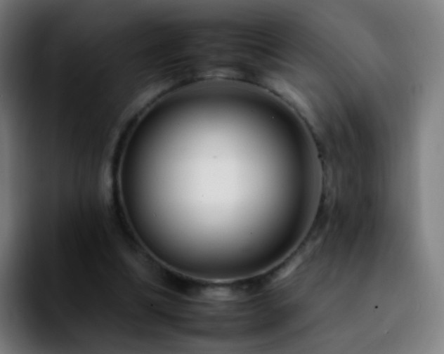 X0000092260298200709211124