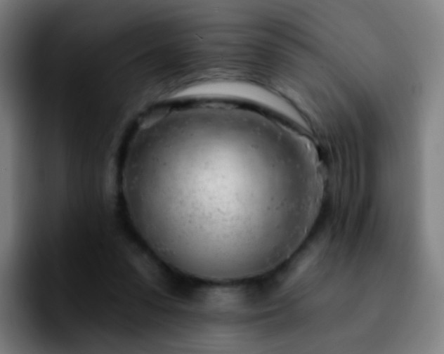 X0000092260303200709211124