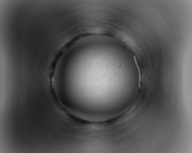 X0000092260305200709211124