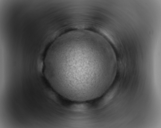 X0000092260307200709211124