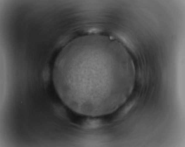 X0000092260311200709211124