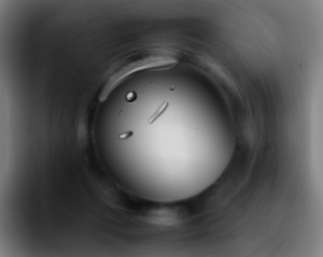 X0000092260312200709211124