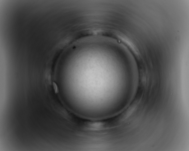 X0000092260313200709211124