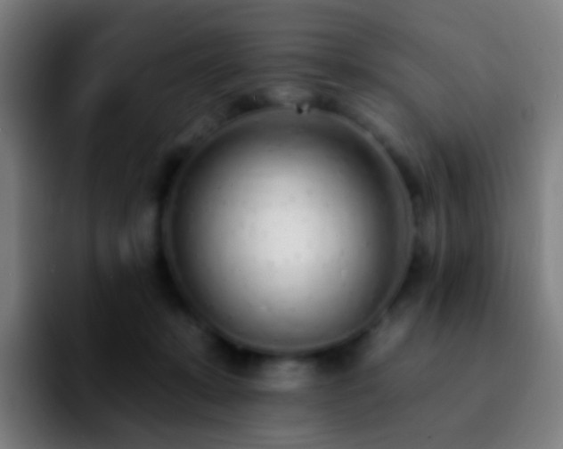 X0000092260319200709211124