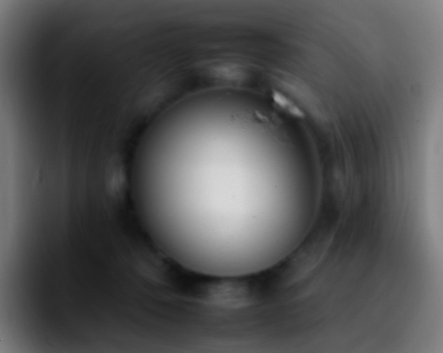 X0000092260320200709211124