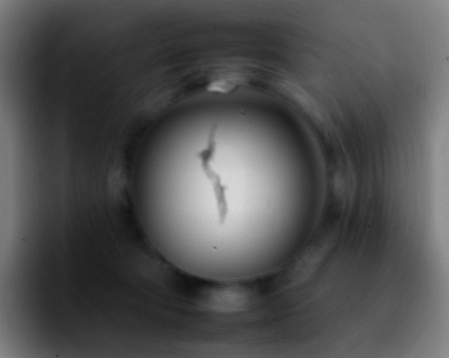 X0000092260322200709211124