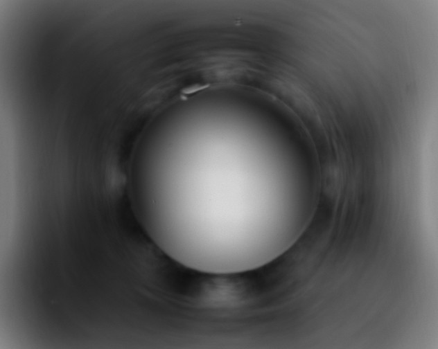 X0000092260324200709211124