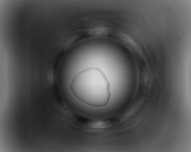 X0000092260326200709211124