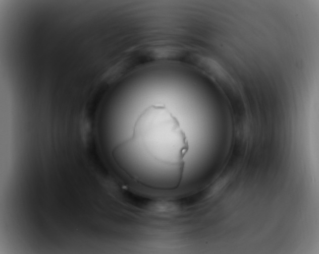 X0000092260327200709211124