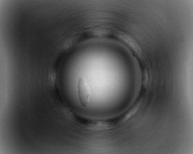 X0000092260329200709211124