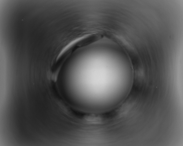 X0000092260331200709211124