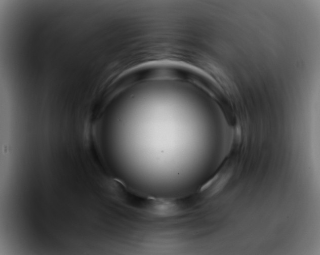 X0000092260333200709211124