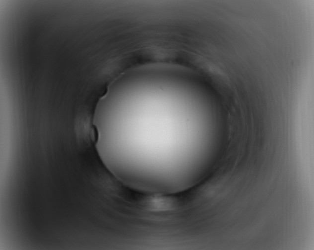 X0000092260336200709211123