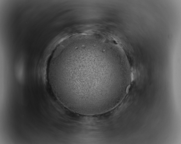 X0000092260339200709211123