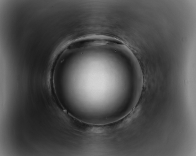 X0000092260341200709211123