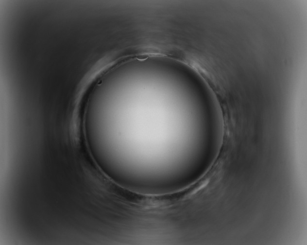 X0000092260343200709211123