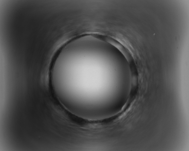 X0000092260344200709211123