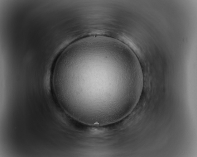 X0000092260346200709211123