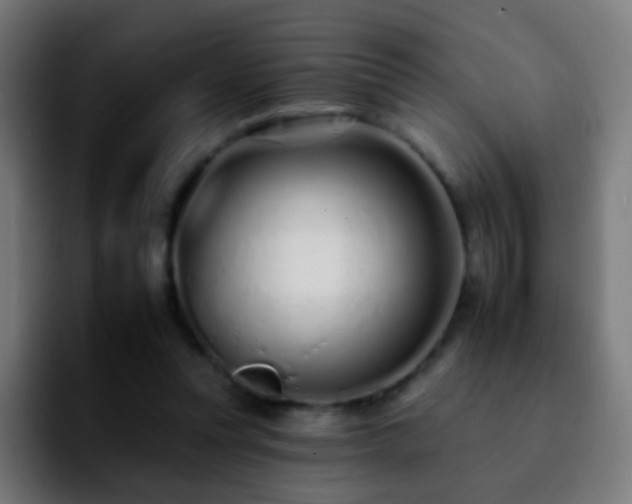 X0000092260351200709211123