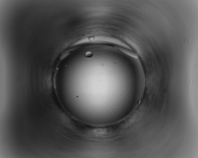 X0000092260353200709211123