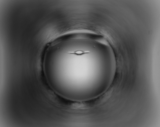 X0000092260354200709211123