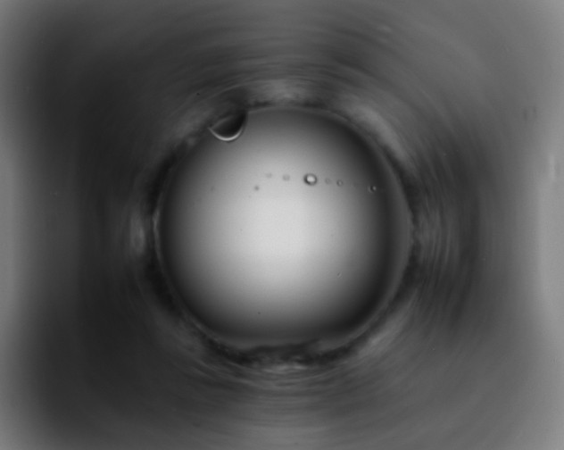 X0000092260355200709211123