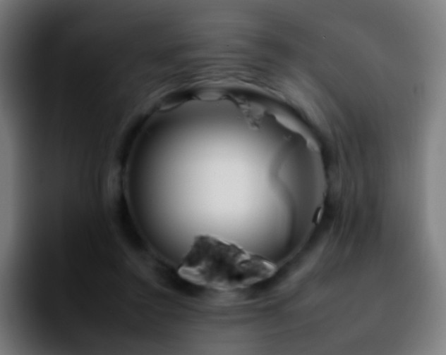 X0000092260356200709211123