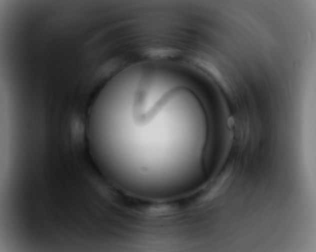 X0000092260357200709211123