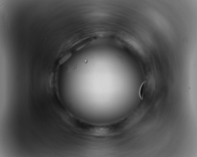 X0000092260361200709211123