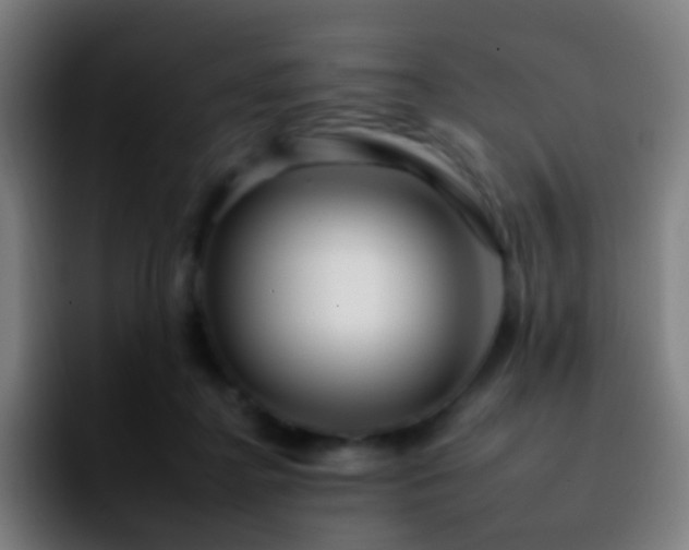 X0000092260364200709211123