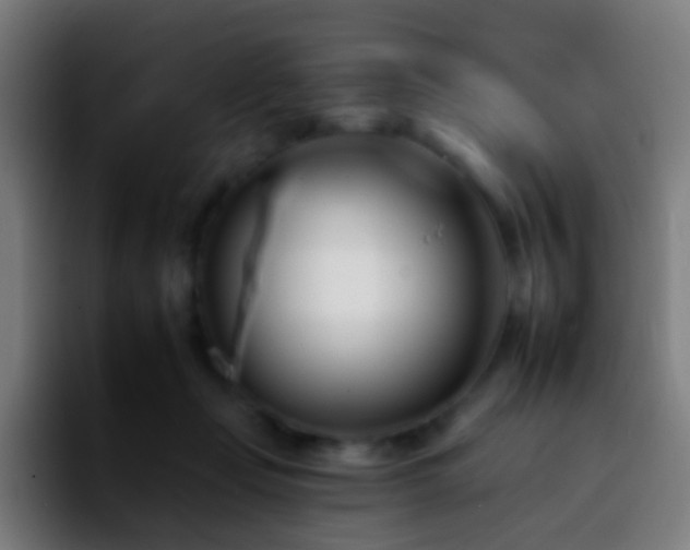 X0000092260365200709211123