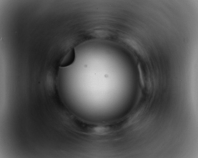 X0000092260371200709211123