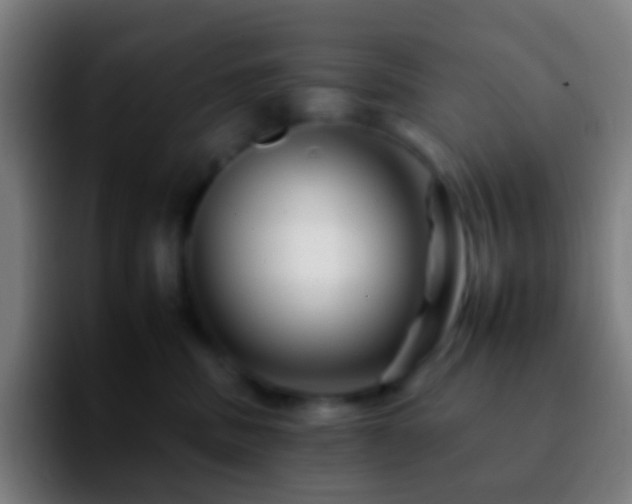 X0000092260379200709211123